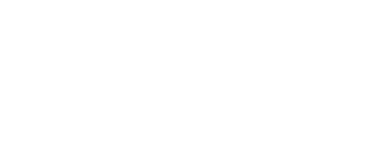 Boyan Josic